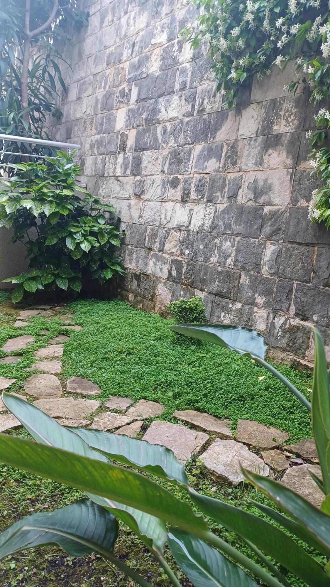 Apartman Stijepcic Herceg Novi Esterno foto