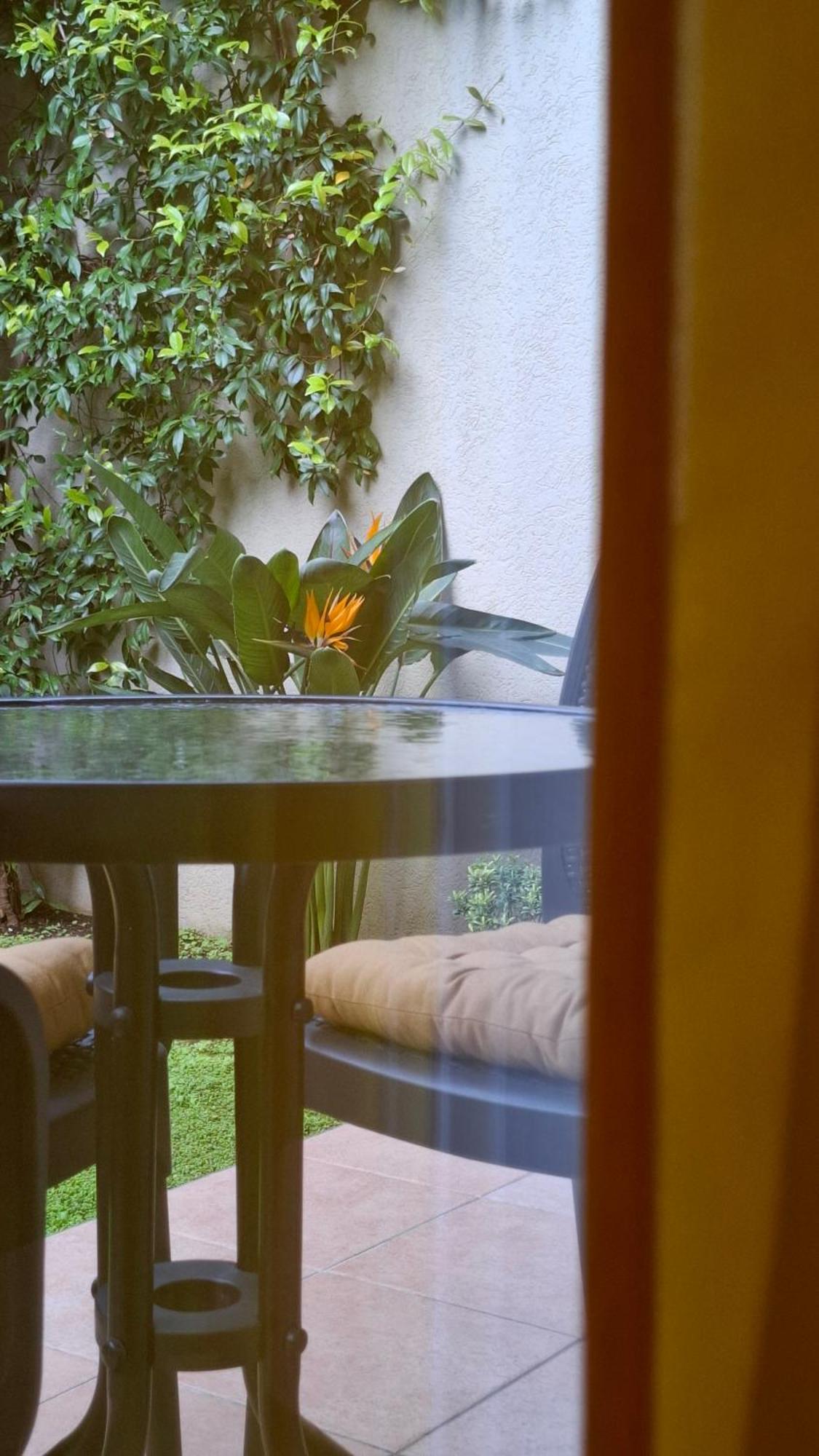 Apartman Stijepcic Herceg Novi Esterno foto