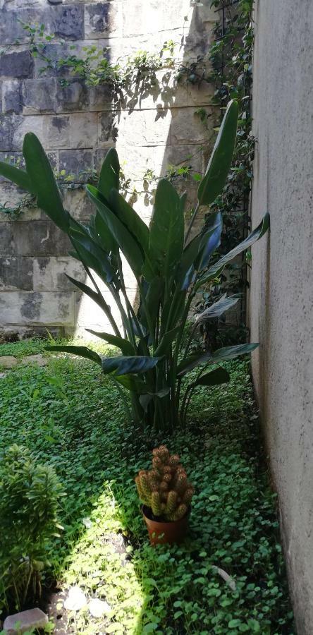 Apartman Stijepcic Herceg Novi Esterno foto
